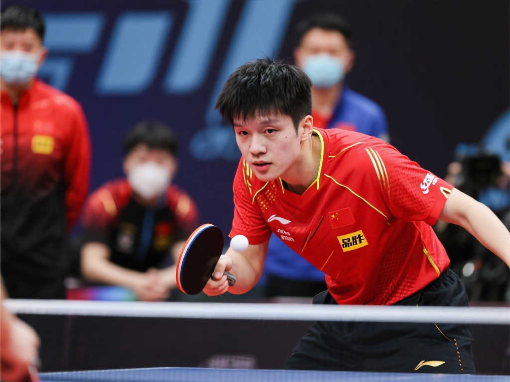 迷和專家們 迷和專家們